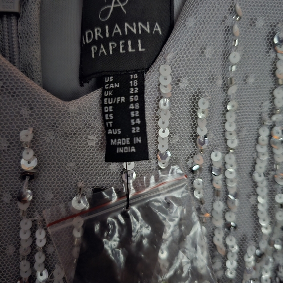 NWT Beautiful Sequined Silver Full Length Adrianna Papell Dress Size 18 - Picture 5 of 5